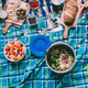 Image for article titled What's the Best Picnic Blanket?
